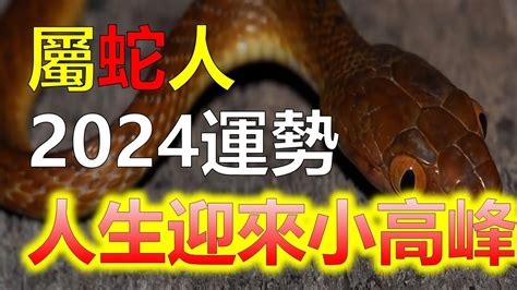 屬蛇的幸運色|2024屬蛇幾歲、2024屬蛇運勢、幸運色、財位、禁忌